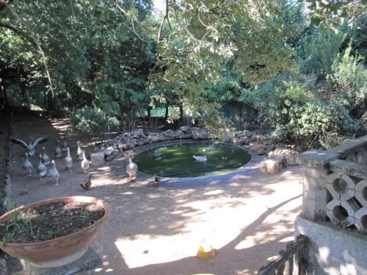 Parco Delle Streghe Villa Scarlino Dış mekan fotoğraf