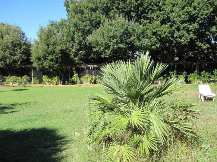 Parco Delle Streghe Villa Scarlino Dış mekan fotoğraf