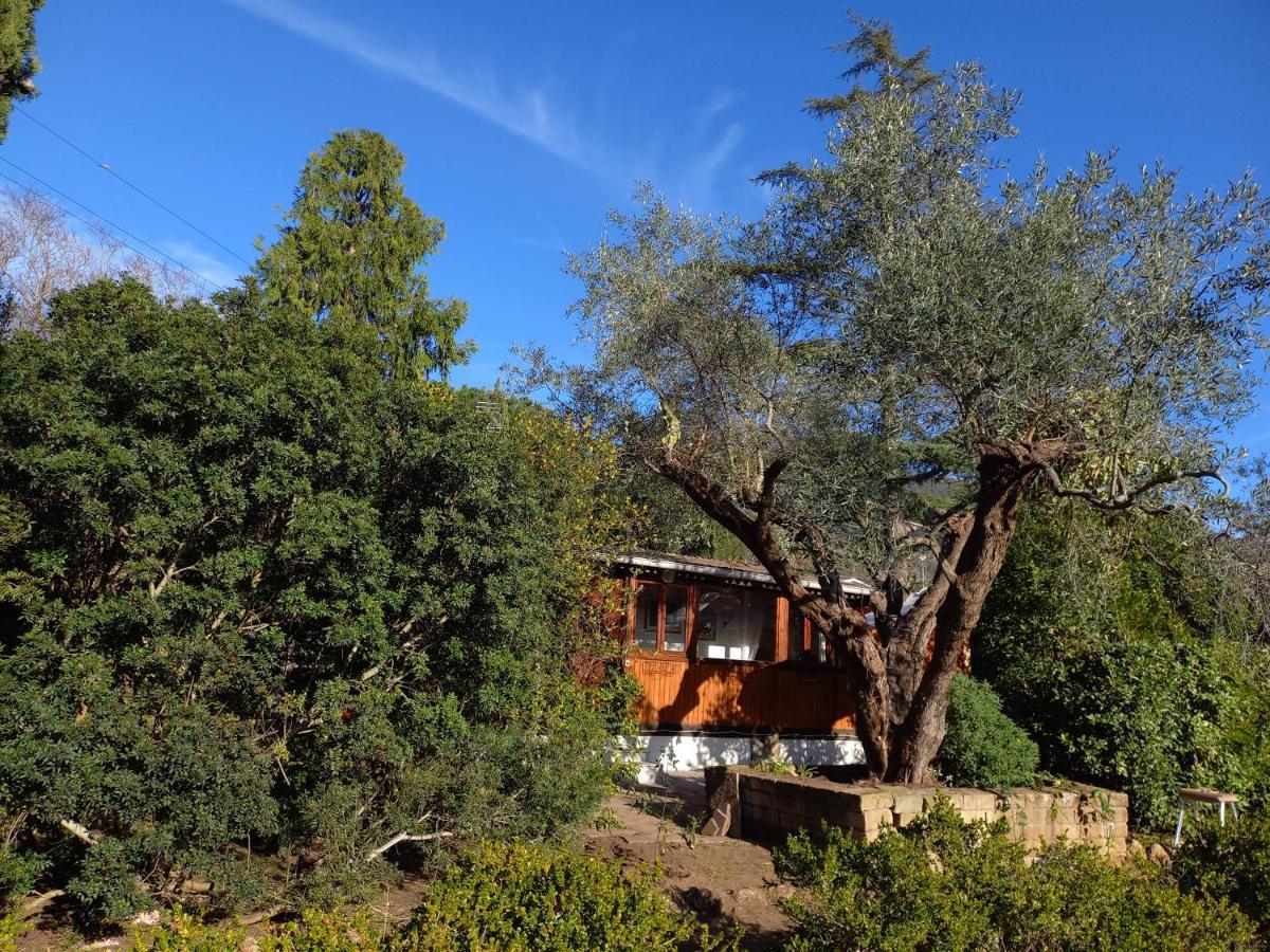 Parco Delle Streghe Villa Scarlino Dış mekan fotoğraf