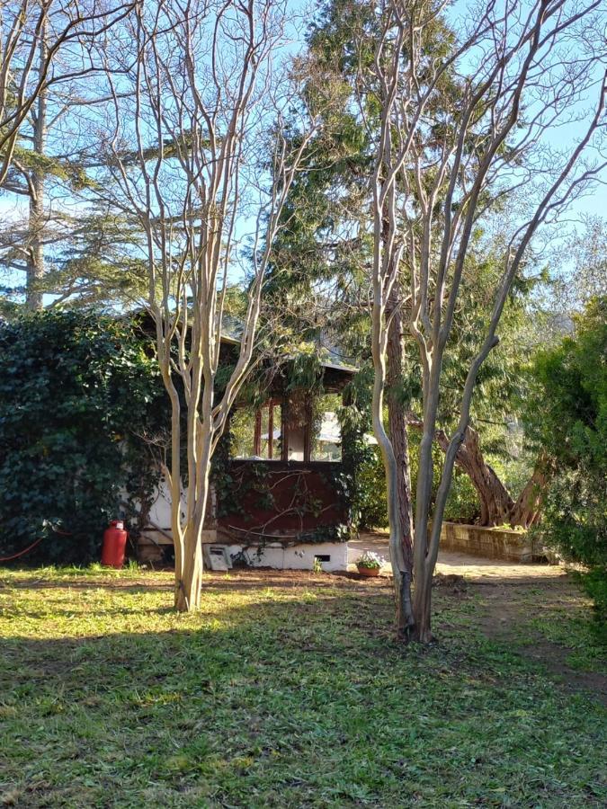 Parco Delle Streghe Villa Scarlino Dış mekan fotoğraf